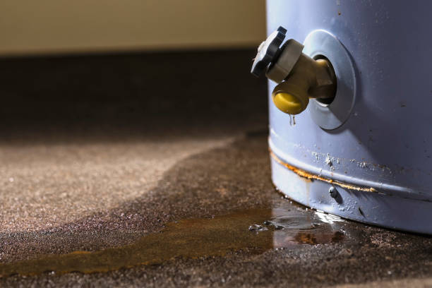 Best Flood restoration services  in Varnell, GA
