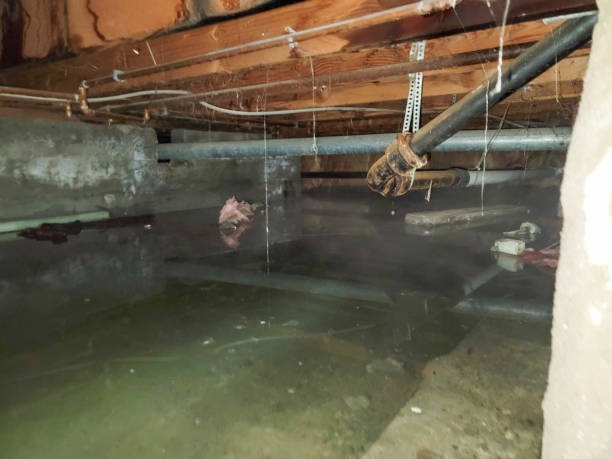 Best Emergency water damage restoration  in Varnell, GA