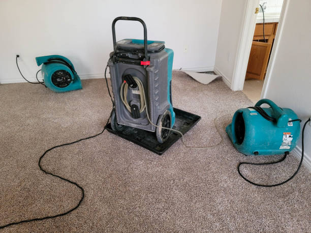 Best Professional water damage repair  in Varnell, GA
