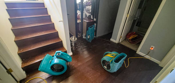 Trusted GA Water damage restoration Experts