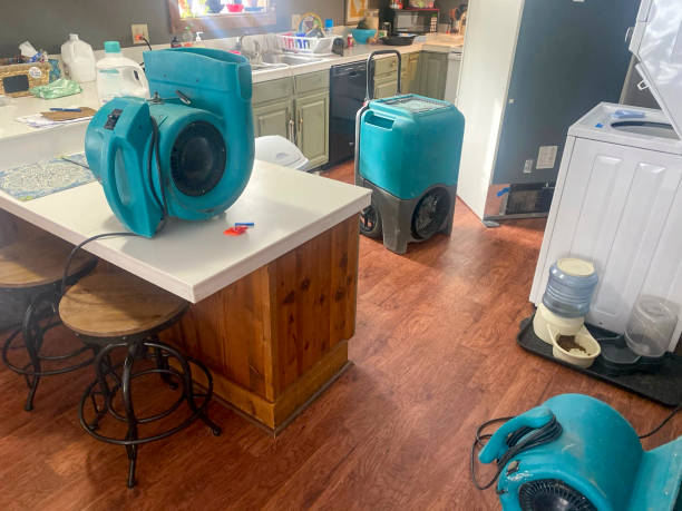 Best Sewage cleanup and water damage restoration  in Varnell, GA