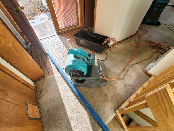 Best Water damage cleanup near me  in Varnell, GA