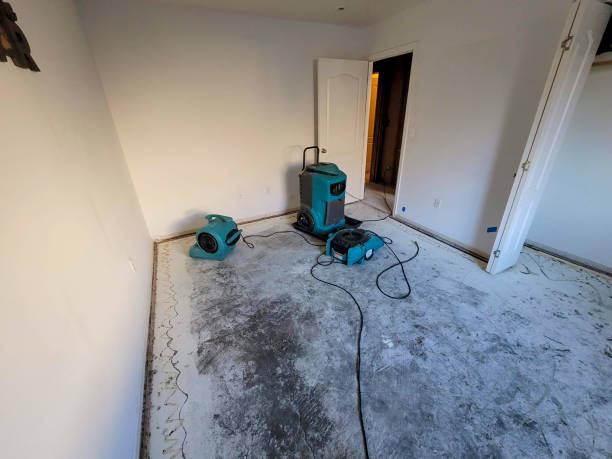 Best Water damage repair service  in Varnell, GA