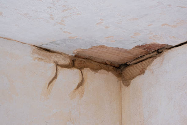 Best Water damage restoration process  in Varnell, GA