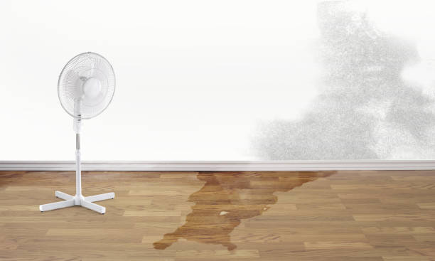 Best Water damage restoration near me  in Varnell, GA