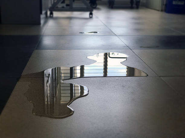 Best 24/7 water damage repair  in Varnell, GA