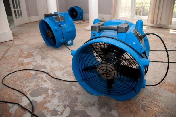 Best Mold removal after water damage  in Varnell, GA