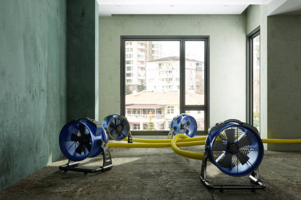 Best Basement water damage restoration  in Varnell, GA